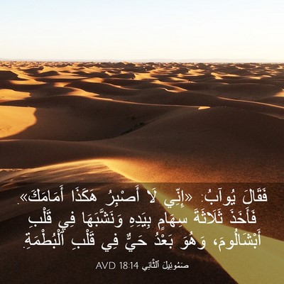 Picture 03 - صَمُوئِيلَ ٱلثَّانِي 18:14 AVD - فَقَالَ يُوآبُ: «إِنِّي - Bible Verse Picture