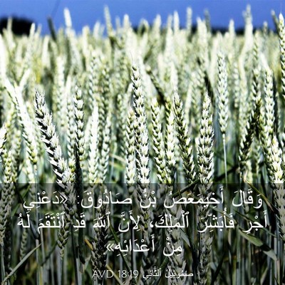 Picture 03 - صَمُوئِيلَ ٱلثَّانِي 18:19 AVD - وَقَالَ أَخِيمَعَصُ بْنُ - Bible Verse Picture