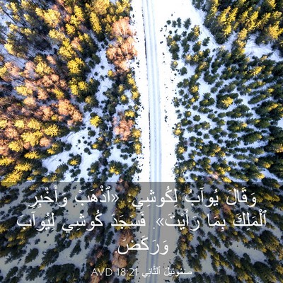 Picture 03 - صَمُوئِيلَ ٱلثَّانِي 18:21 AVD - وَقَالَ يُوآبُ لِكُوشِي: - Bible Verse Picture