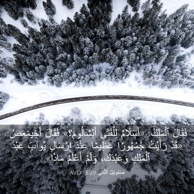 Picture 03 - صَمُوئِيلَ ٱلثَّانِي 18:29 AVD - فَقَالَ ٱلْمَلِكُ: - Bible Verse Picture