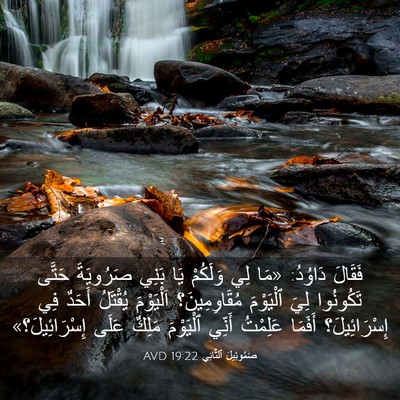 Picture 03 - صَمُوئِيلَ ٱلثَّانِي 19:22 AVD - فَقَالَ دَاوُدُ: «مَا لِي - Bible Verse Picture
