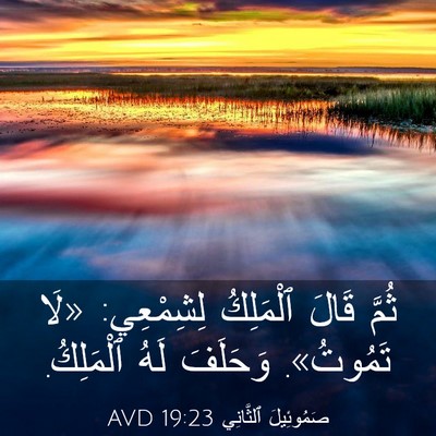 Picture 03 - صَمُوئِيلَ ٱلثَّانِي 19:23 AVD - ثُمَّ قَالَ ٱلْمَلِكُ - Bible Verse Picture