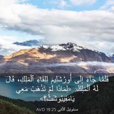 Picture 03 - صَمُوئِيلَ ٱلثَّانِي 19:25 AVD - فَلَمَّا جَاءَ إِلَى - Bible Verse Picture