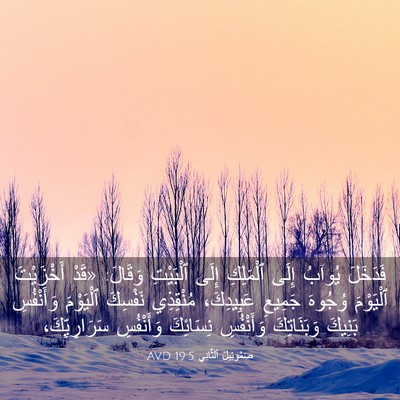 Picture 03 - صَمُوئِيلَ ٱلثَّانِي 19:5 AVD - فَدَخَلَ يُوآبُ إِلَى - Bible Verse Picture