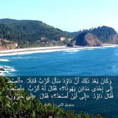 Picture 03 - صَمُوئِيلَ ٱلثَّانِي 2:1 AVD - وَكَانَ بَعْدَ ذَلِكَ - Bible Verse Picture