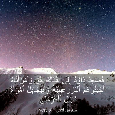 Picture 03 - صَمُوئِيلَ ٱلثَّانِي 2:2 AVD - فَصَعِدَ دَاوُدُ إِلَى - Bible Verse Picture