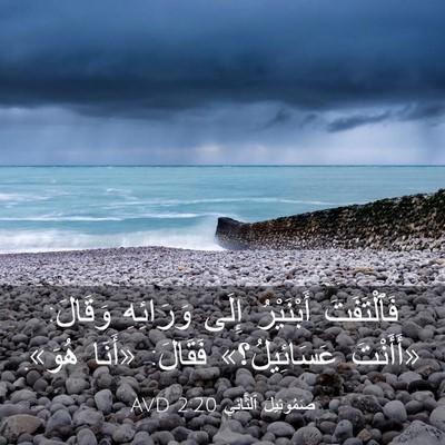 Picture 03 - صَمُوئِيلَ ٱلثَّانِي 2:20 AVD - فَٱلْتَفَتَ أَبْنَيْرُ - Bible Verse Picture