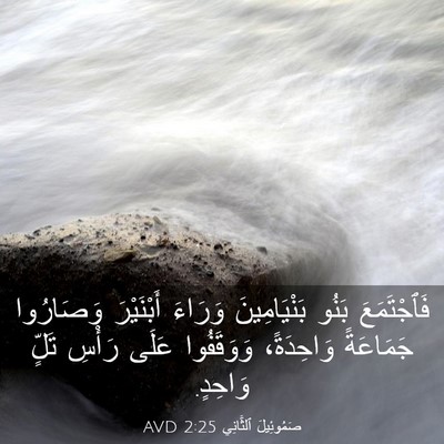 Picture 03 - صَمُوئِيلَ ٱلثَّانِي 2:25 AVD - فَٱجْتَمَعَ بَنُو - Bible Verse Picture