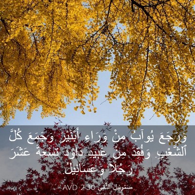 Picture 03 - صَمُوئِيلَ ٱلثَّانِي 2:30 AVD - وَرَجَعَ يُوآبُ مِنْ - Bible Verse Picture