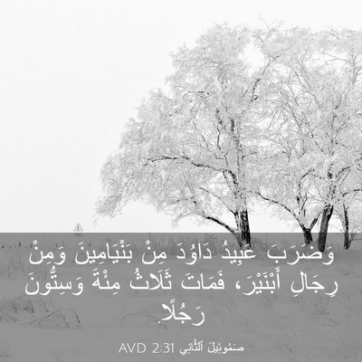 Picture 03 - صَمُوئِيلَ ٱلثَّانِي 2:31 AVD - وَضَرَبَ عَبِيدُ دَاوُدَ - Bible Verse Picture
