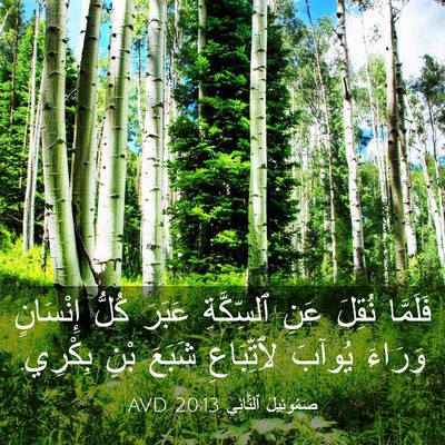 Picture 03 - صَمُوئِيلَ ٱلثَّانِي 20:13 AVD - فَلَمَّا نُقِلَ عَنِ - Bible Verse Picture