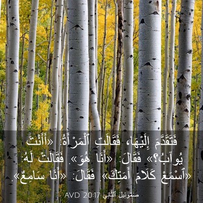 Picture 03 - صَمُوئِيلَ ٱلثَّانِي 20:17 AVD - فَتَقَدَّمَ إِلَيْهَا، - Bible Verse Picture