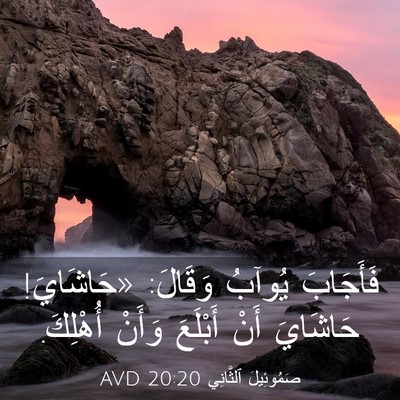 Picture 03 - صَمُوئِيلَ ٱلثَّانِي 20:20 AVD - فَأَجَابَ يُوآبُ وَقَالَ: - Bible Verse Picture