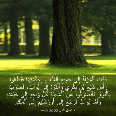 Picture 03 - صَمُوئِيلَ ٱلثَّانِي 20:22 AVD - فَأَتَتِ ٱلْمَرْأَةُ - Bible Verse Picture