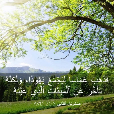Picture 03 - صَمُوئِيلَ ٱلثَّانِي 20:5 AVD - فَذَهَبَ عَمَاسَا - Bible Verse Picture