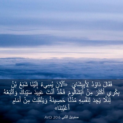 Picture 03 - صَمُوئِيلَ ٱلثَّانِي 20:6 AVD - فَقَالَ دَاوُدُ - Bible Verse Picture