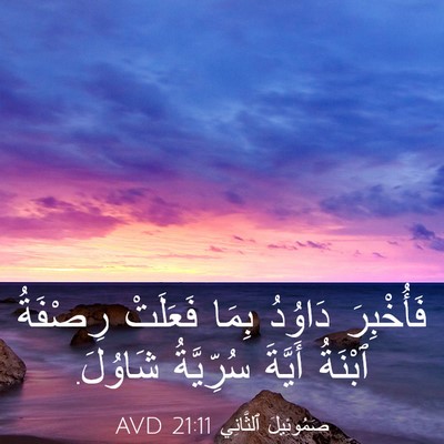 Picture 03 - صَمُوئِيلَ ٱلثَّانِي 21:11 AVD - فَأُخْبِرَ دَاوُدُ بِمَا - Bible Verse Picture