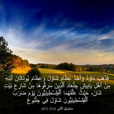 Picture 03 - صَمُوئِيلَ ٱلثَّانِي 21:12 AVD - فَذَهَبَ دَاوُدُ وَأَخَذَ - Bible Verse Picture