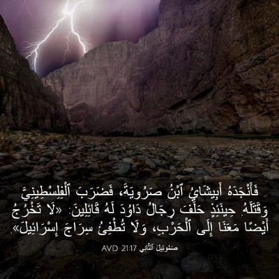 Picture 03 - صَمُوئِيلَ ٱلثَّانِي 21:17 AVD - فَأَنْجَدَهُ أَبِيشَايُ - Bible Verse Picture