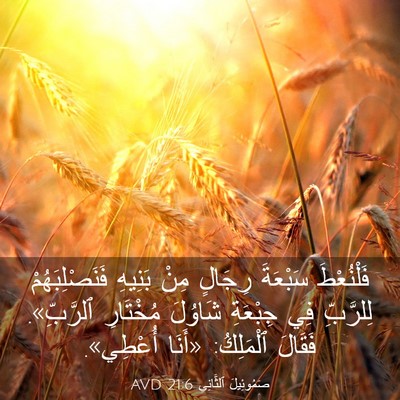 Picture 03 - صَمُوئِيلَ ٱلثَّانِي 21:6 AVD - فَلْنُعْطَ سَبْعَةَ - Bible Verse Picture