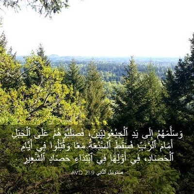 Picture 03 - صَمُوئِيلَ ٱلثَّانِي 21:9 AVD - وَسَلَّمَهُمْ إِلَى يَدِ - Bible Verse Picture
