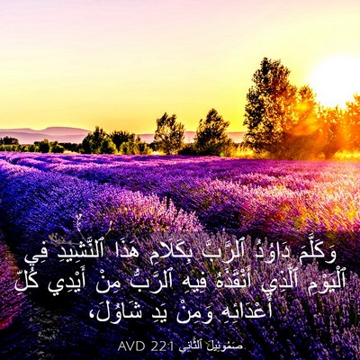 Picture 03 - صَمُوئِيلَ ٱلثَّانِي 22:1 AVD - وَكَلَّمَ دَاوُدُ - Bible Verse Picture