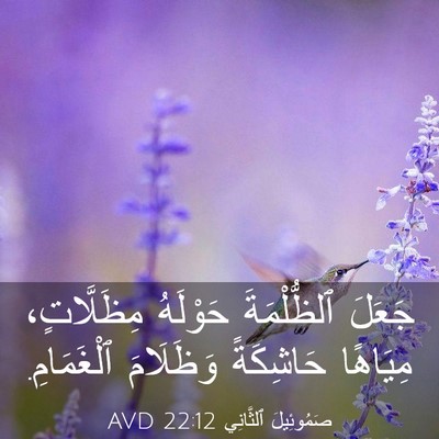 Picture 03 - صَمُوئِيلَ ٱلثَّانِي 22:12 AVD - جَعَلَ ٱلظُّلْمَةَ - Bible Verse Picture