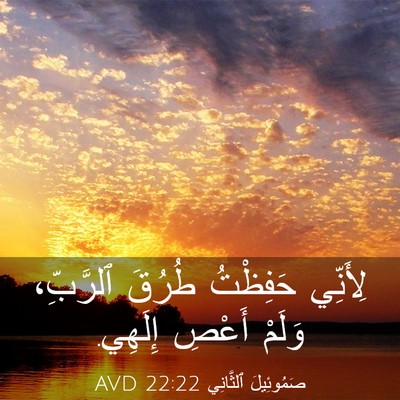 Picture 03 - صَمُوئِيلَ ٱلثَّانِي 22:22 AVD - لِأَنِّي حَفِظْتُ طُرُقَ - Bible Verse Picture