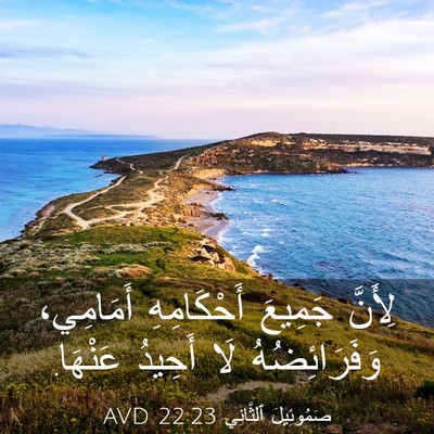Picture 03 - صَمُوئِيلَ ٱلثَّانِي 22:23 AVD - لِأَنَّ جَمِيعَ - Bible Verse Picture