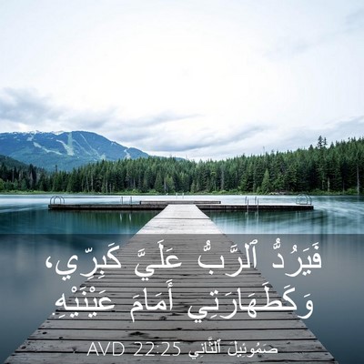 Picture 03 - صَمُوئِيلَ ٱلثَّانِي 22:25 AVD - فَيَرُدُّ ٱلرَّبُّ - Bible Verse Picture
