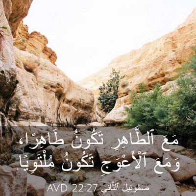 Picture 03 - صَمُوئِيلَ ٱلثَّانِي 22:27 AVD - مَعَ ٱلطَّاهِرِ تَكُونُ - Bible Verse Picture