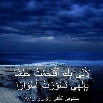 Picture 03 - صَمُوئِيلَ ٱلثَّانِي 22:30 AVD - لِأَنِّي بِكَ ٱقْتَحَمْتُ - Bible Verse Picture