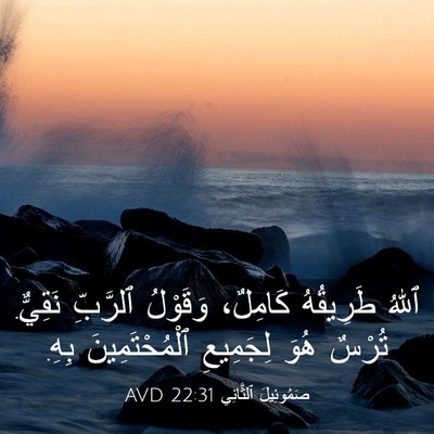 Picture 03 - صَمُوئِيلَ ٱلثَّانِي 22:31 AVD - ٱللهُ طَرِيقُهُ كَامِلٌ، - Bible Verse Picture
