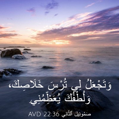 Picture 03 - صَمُوئِيلَ ٱلثَّانِي 22:36 AVD - وَتَجْعَلُ لِي تُرْسَ - Bible Verse Picture