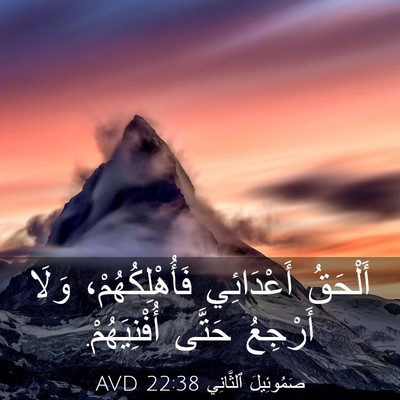 Picture 03 - صَمُوئِيلَ ٱلثَّانِي 22:38 AVD - أَلْحَقُ أَعْدَائِي - Bible Verse Picture