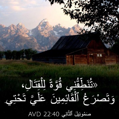 Picture 03 - صَمُوئِيلَ ٱلثَّانِي 22:40 AVD - «تُنَطِّقُنِي قُوَّةً - Bible Verse Picture