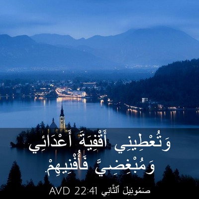 Picture 03 - صَمُوئِيلَ ٱلثَّانِي 22:41 AVD - وَتُعْطِينِي أَقْفِيَةَ - Bible Verse Picture