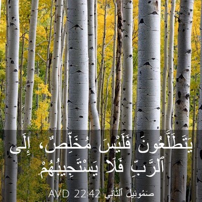 Picture 03 - صَمُوئِيلَ ٱلثَّانِي 22:42 AVD - يَتَطَلَّعُونَ فَلَيْسَ - Bible Verse Picture
