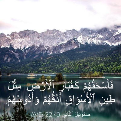 Picture 03 - صَمُوئِيلَ ٱلثَّانِي 22:43 AVD - فَأَسْحَقُهُمْ كَغُبَارِ - Bible Verse Picture