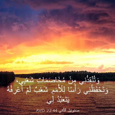 Picture 03 - صَمُوئِيلَ ٱلثَّانِي 22:44 AVD - وَتُنْقِذُنِي مِنْ - Bible Verse Picture