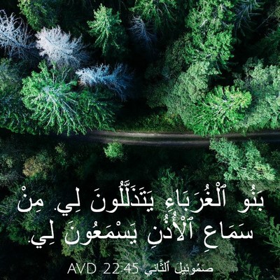 Picture 03 - صَمُوئِيلَ ٱلثَّانِي 22:45 AVD - بَنُو ٱلْغُرَبَاءِ - Bible Verse Picture