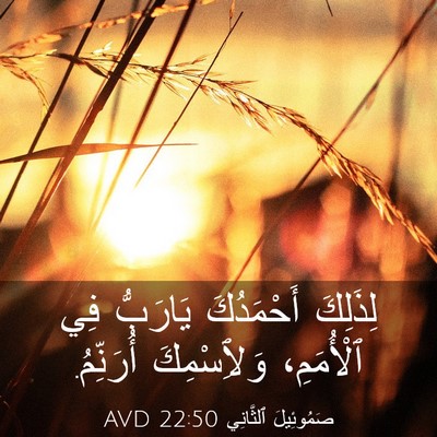 Picture 03 - صَمُوئِيلَ ٱلثَّانِي 22:50 AVD - لِذَلِكَ أَحْمَدُكَ - Bible Verse Picture