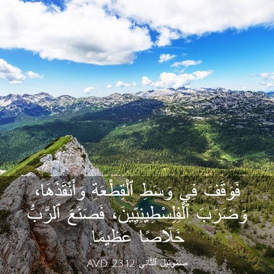 Picture 03 - صَمُوئِيلَ ٱلثَّانِي 23:12 AVD - فَوَقَفَ فِي وَسَطِ - Bible Verse Picture