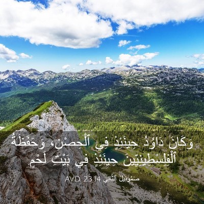 Picture 03 - صَمُوئِيلَ ٱلثَّانِي 23:14 AVD - وَكَانَ دَاوُدُ حِينَئِذٍ - Bible Verse Picture