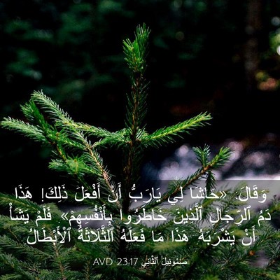 Picture 03 - صَمُوئِيلَ ٱلثَّانِي 23:17 AVD - وَقَالَ: «حَاشَا لِي - Bible Verse Picture