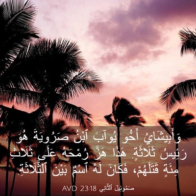 Picture 03 - صَمُوئِيلَ ٱلثَّانِي 23:18 AVD - وَأَبِيشَايُ أَخُو يُوآبَ - Bible Verse Picture