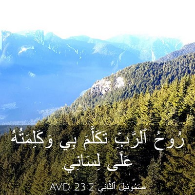 Picture 03 - صَمُوئِيلَ ٱلثَّانِي 23:2 AVD - رُوحُ ٱلرَّبِّ تَكَلَّمَ - Bible Verse Picture
