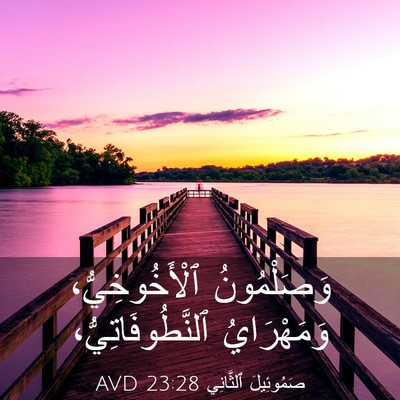 Picture 03 - صَمُوئِيلَ ٱلثَّانِي 23:28 AVD - وَصَلْمُونُ - Bible Verse Picture