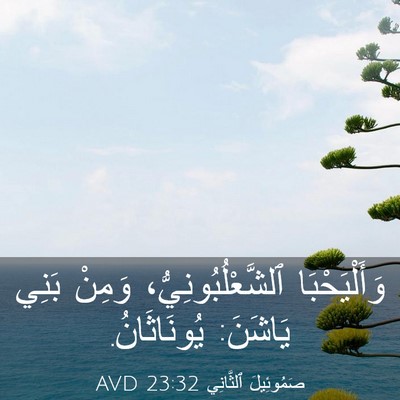 Picture 03 - صَمُوئِيلَ ٱلثَّانِي 23:32 AVD - وَأَلْيَحْبَا - Bible Verse Picture