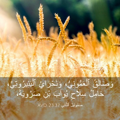 Picture 03 - صَمُوئِيلَ ٱلثَّانِي 23:37 AVD - وَصَالَقُ ٱلْعَمُّونِيُّ، - Bible Verse Picture